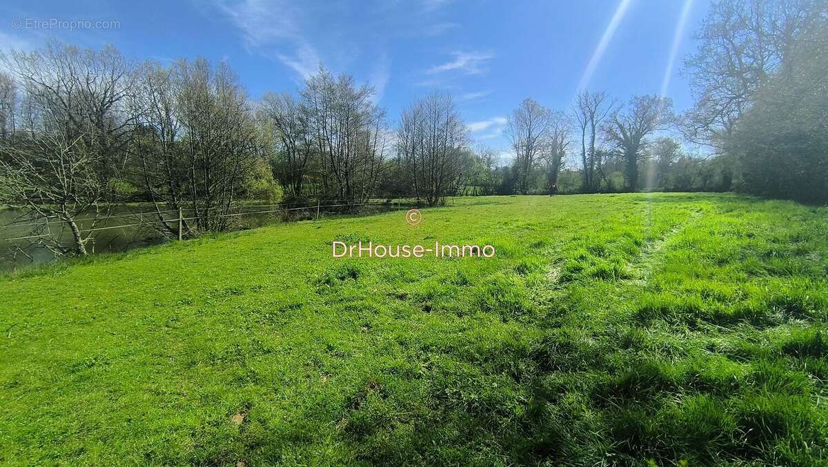 Terrain à LA RONDE-HAYE