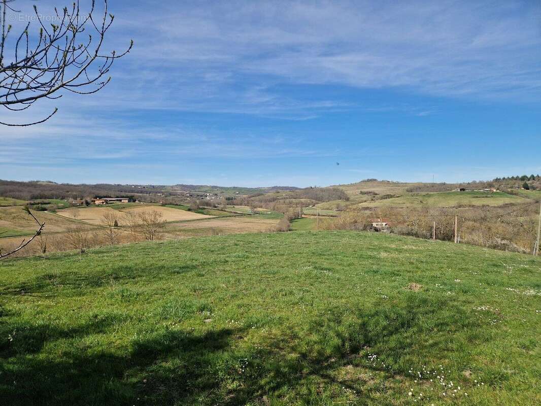 Propriété avec piscine sur environ 1,5 Ha de terrain - photo 16