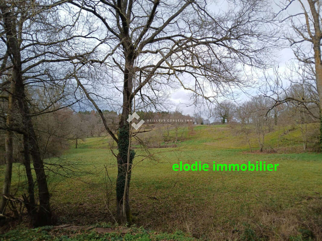 Maison 60 m² à Javaugues  - photo 7