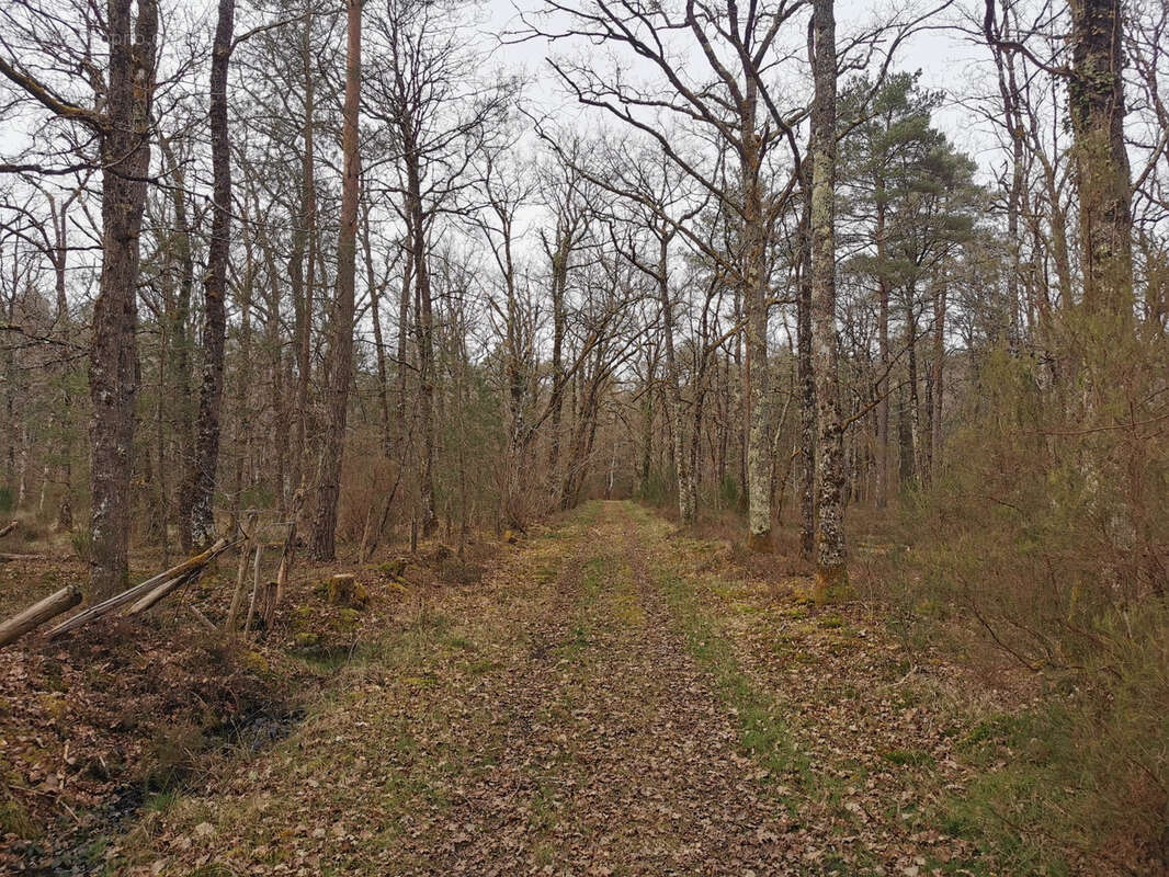 Maison à VILLEFRANCHE-SUR-CHER