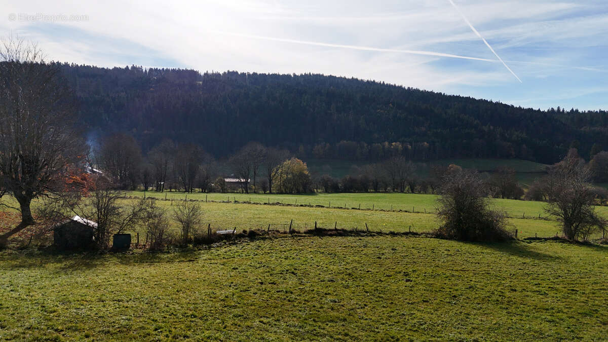 Terrain à FOURNETS-LUISANS