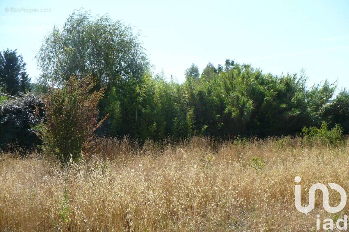 Photo 4 - Terrain à MANOSQUE