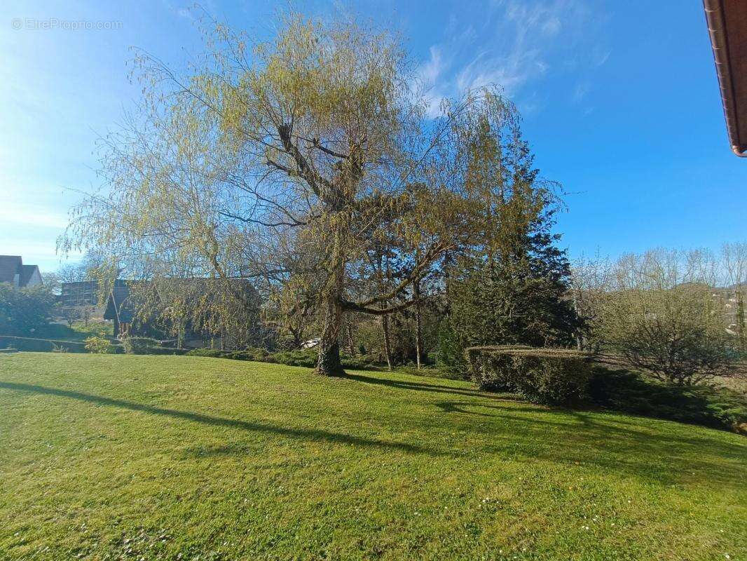 Terrain à MONTMOROT