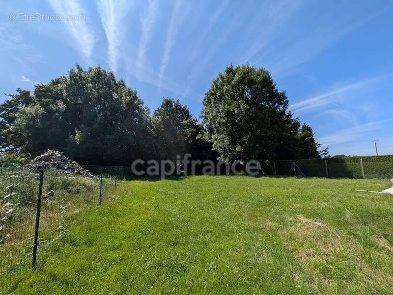 Maison à NEUVILLE-COPPEGUEULE
