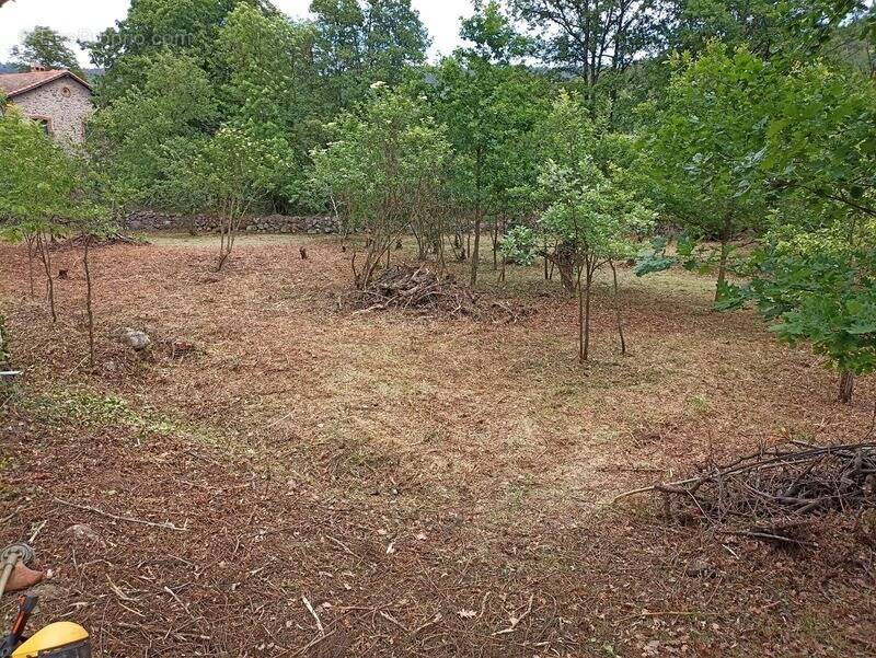 Terrain à CORNEILLA-DE-CONFLENT