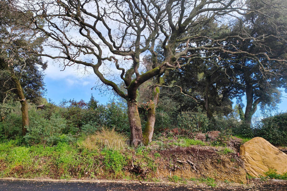 Terrain à VILLENEUVE-LES-AVIGNON