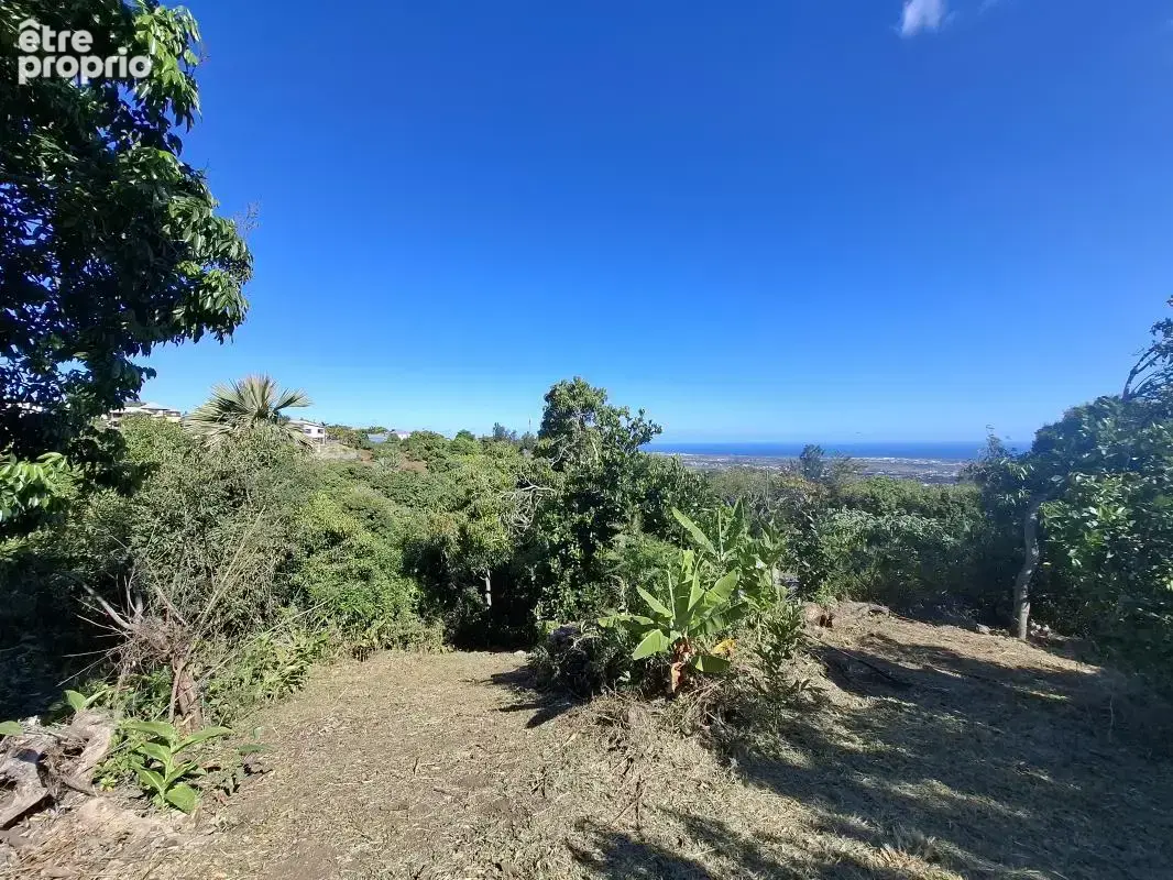 Terrain à SAINT-LOUIS