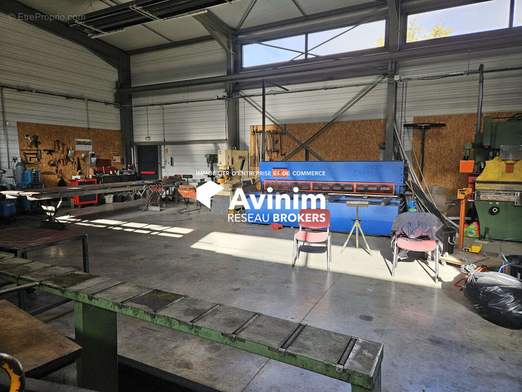 Commerce à MOLINGES