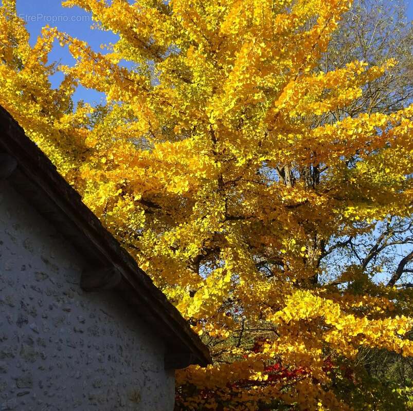 Maison à SAINT-AULAYE