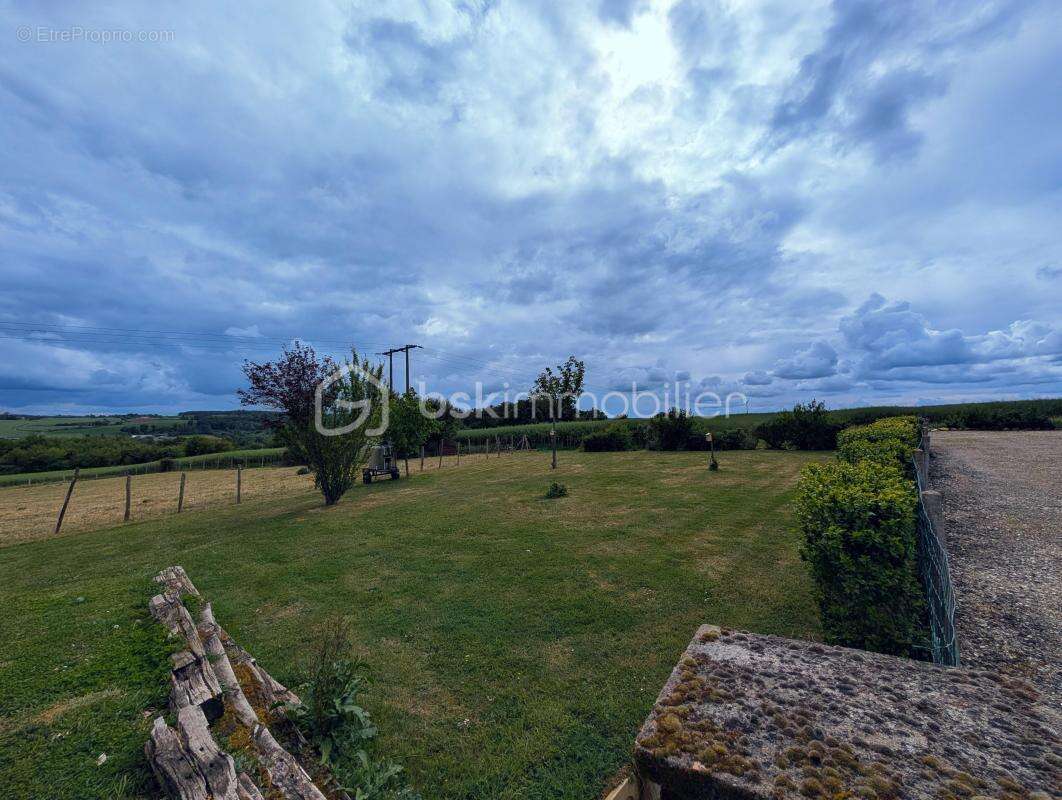 Achat Terrain Triguères (45) – 2 226 m² au Calme Absolu avec Vue Dégagée - photo 3
