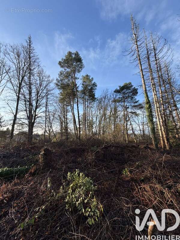 Photo 8 - Terrain à NANCAY