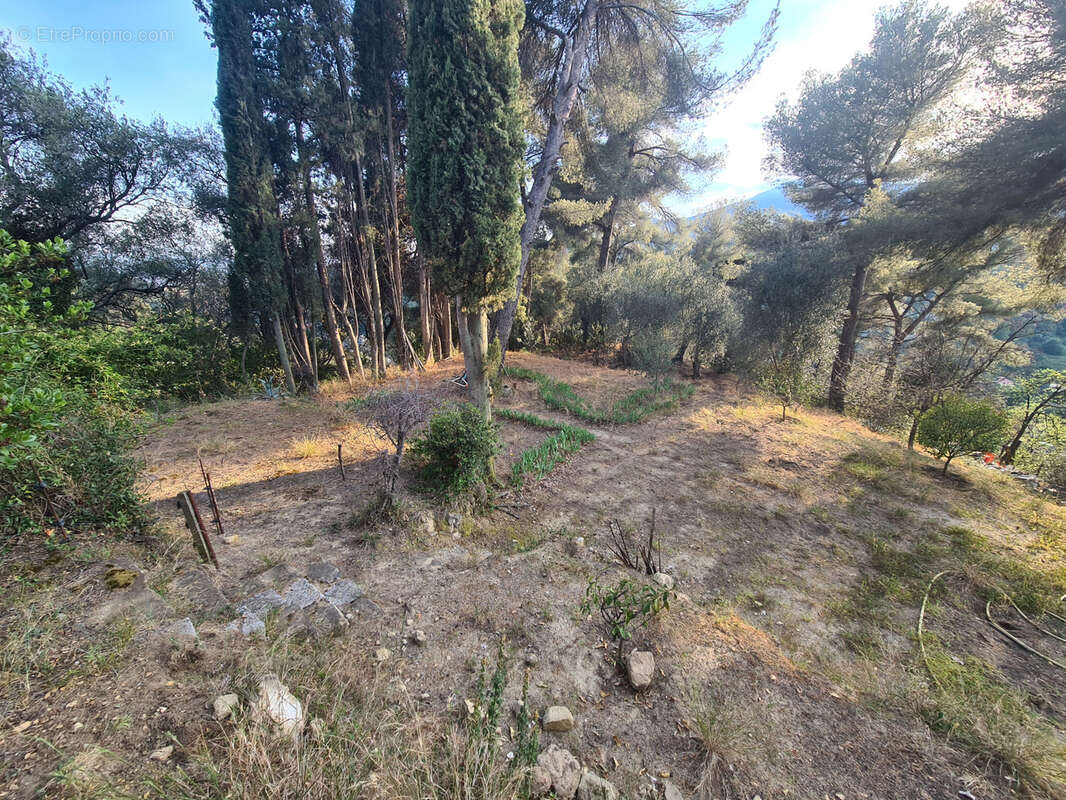 Terrain à MENTON
