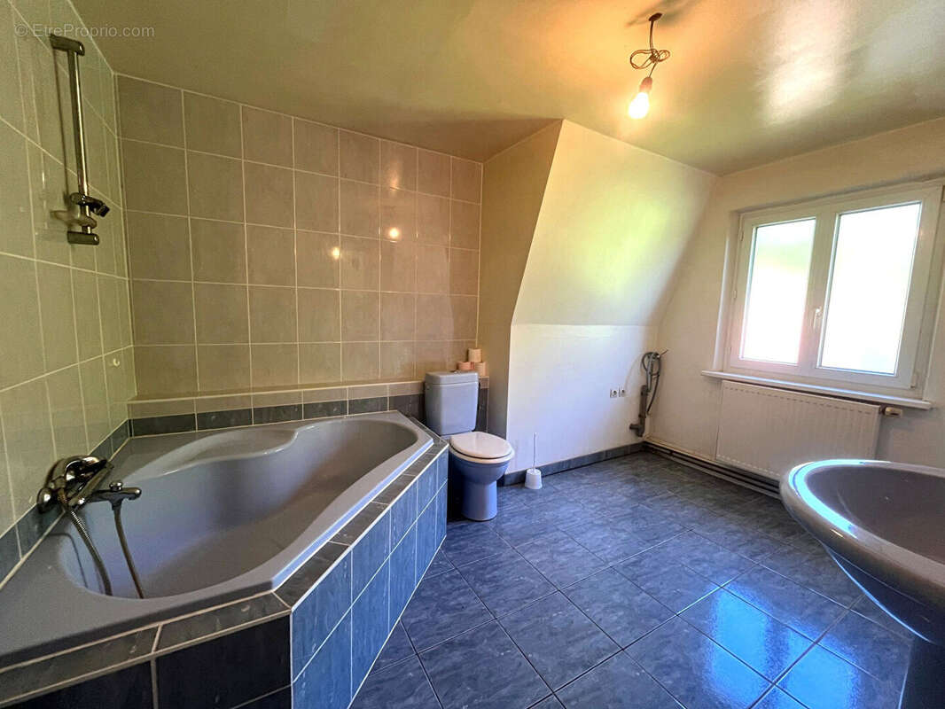 Maison à SCHIRRHOFFEN