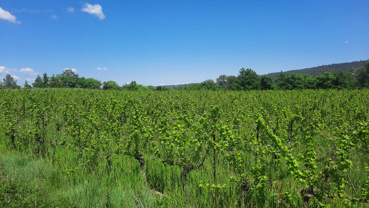 Terrain à CANNES-ET-CLAIRAN
