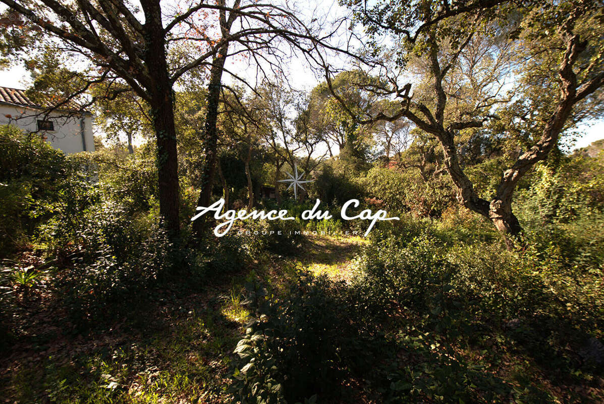 Terrain à SAINT-RAPHAEL