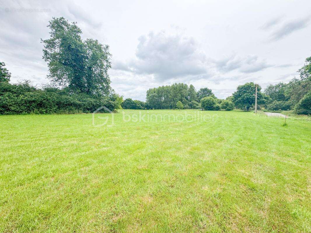 Terrain à CHAUVIGNE