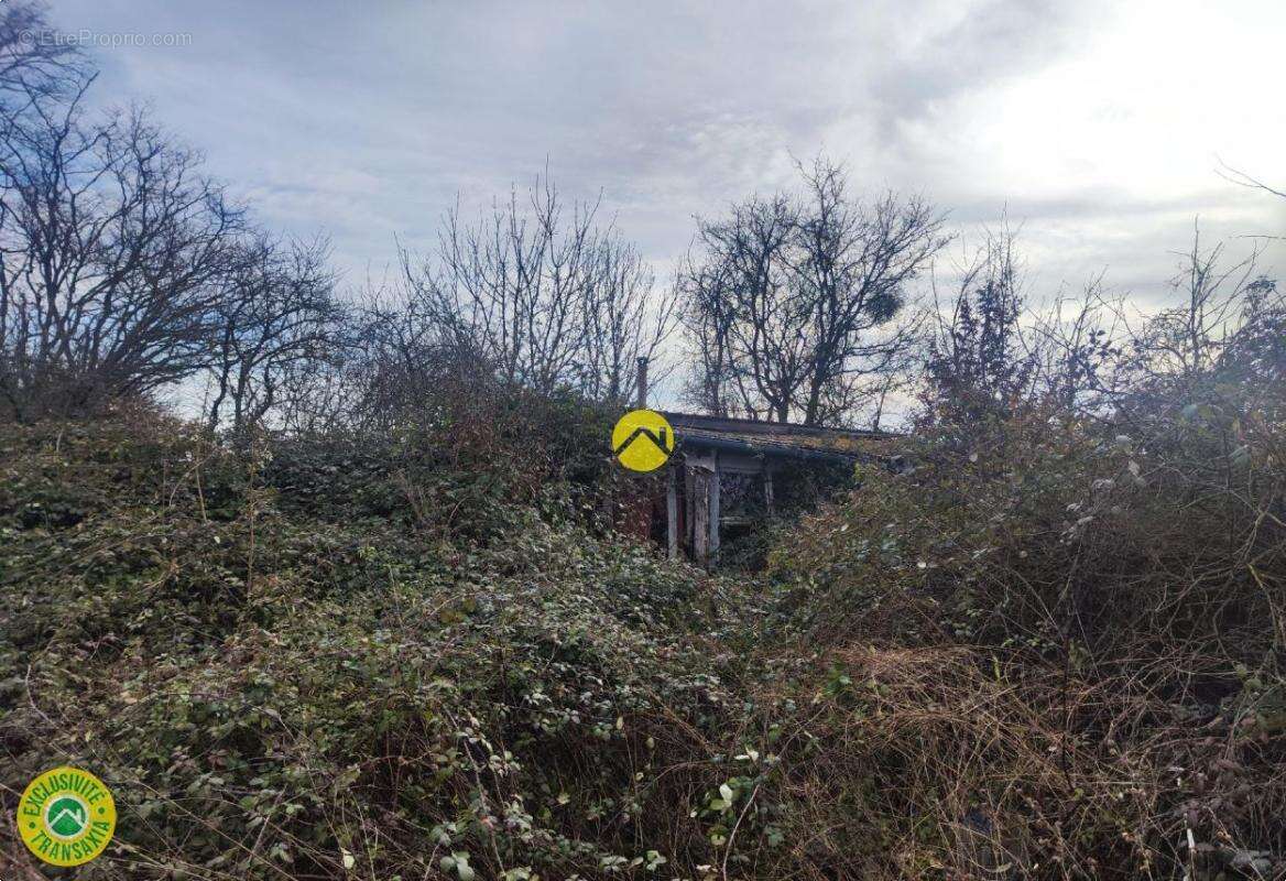 Terrain à MENETOU-COUTURE