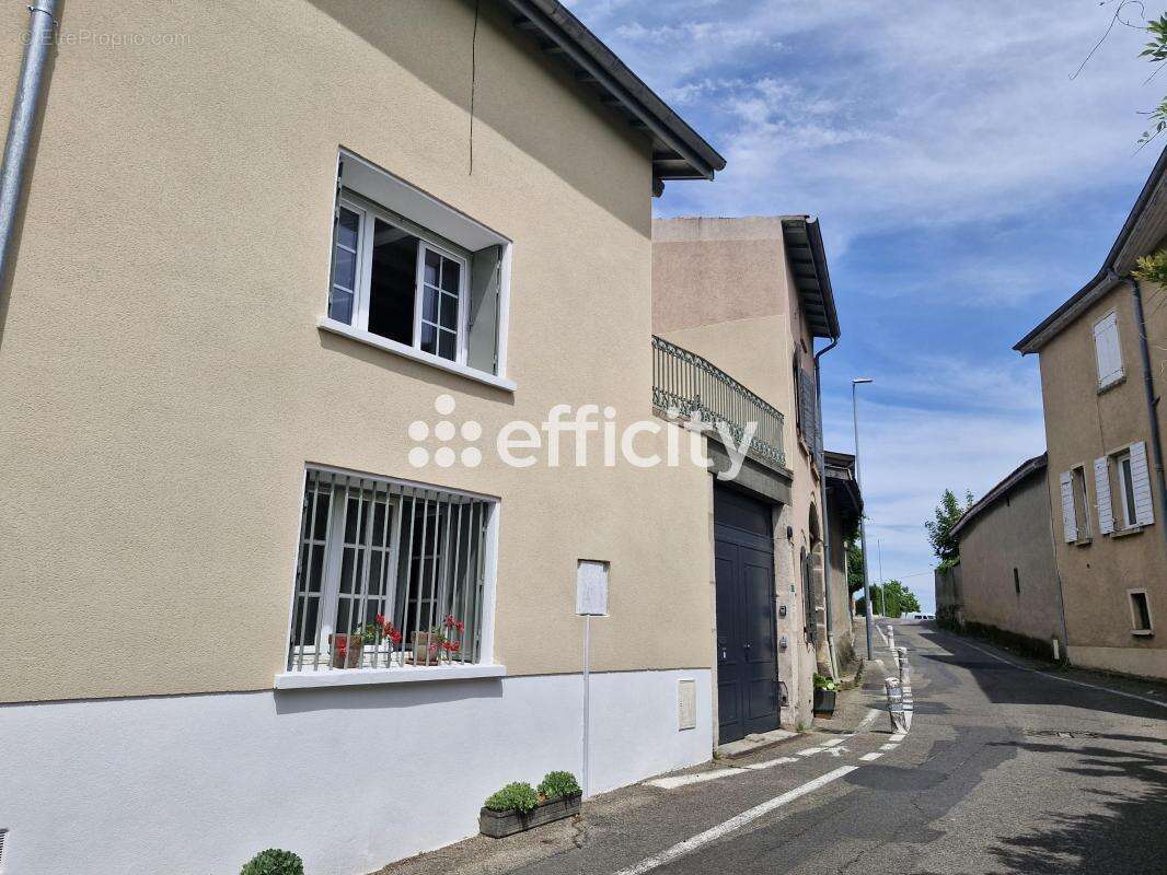 Maison 374 m² à Millery  - photo 10