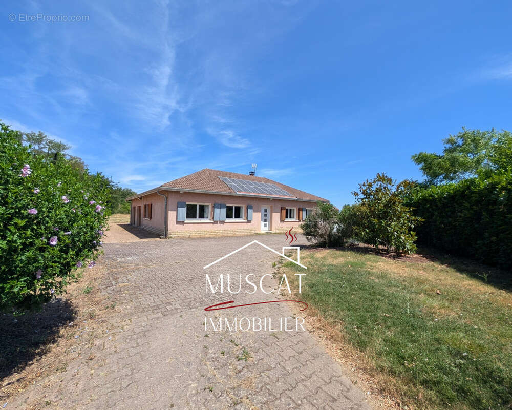 GRENAY - Maison plain-pied - double garage - terrasse - jardin - photo 13