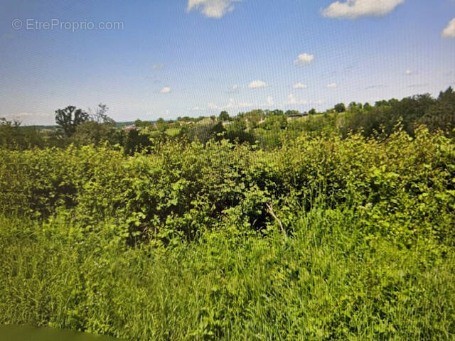 Terrain à SAINT-PRIX