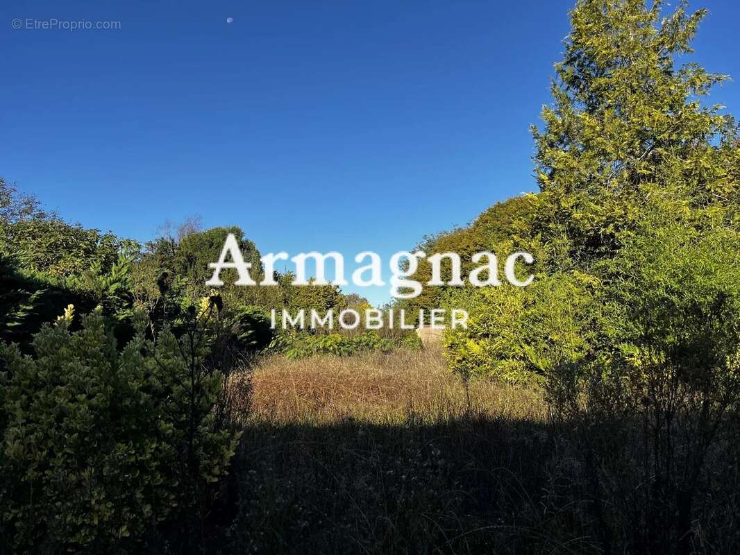 Maison à MONGUILHEM