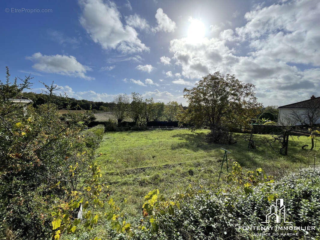 Terrain à FONTENAY-LE-COMTE