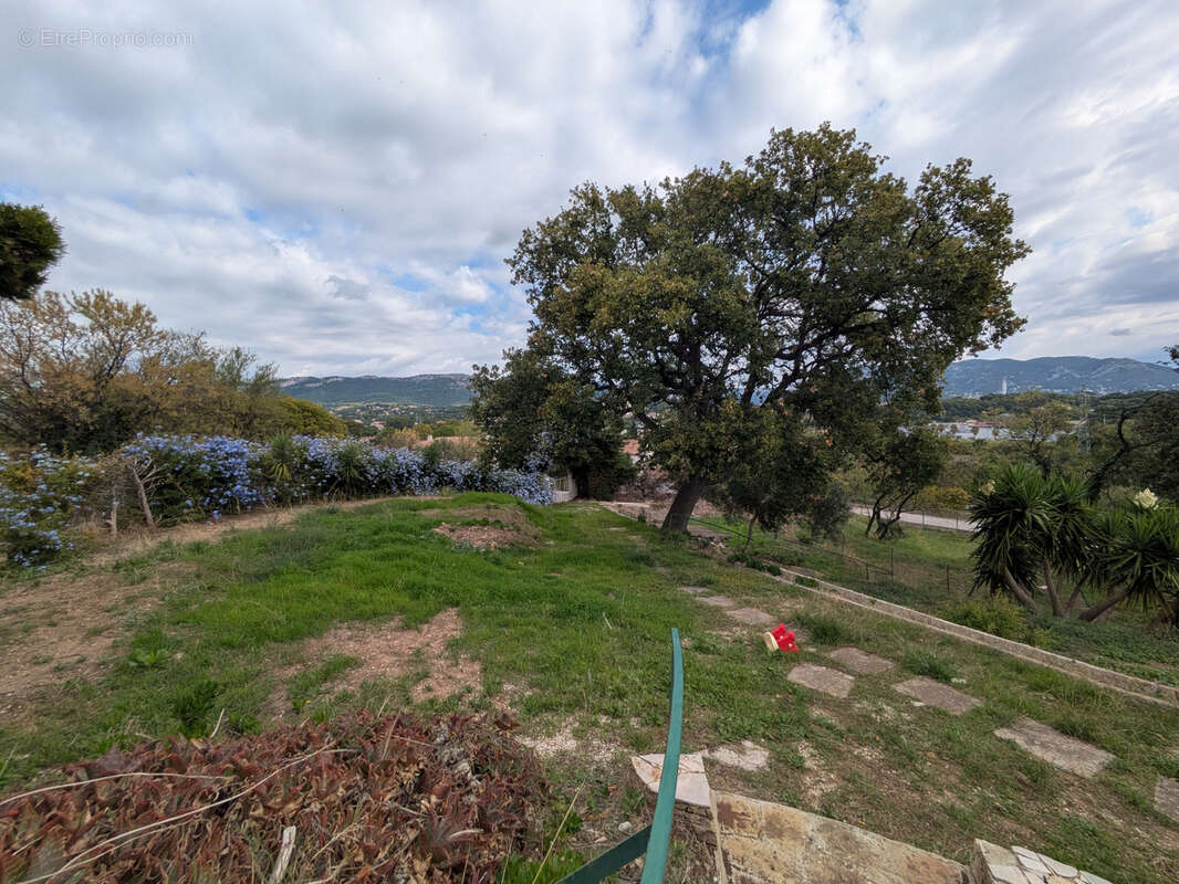 Terrain à OLLIOULES