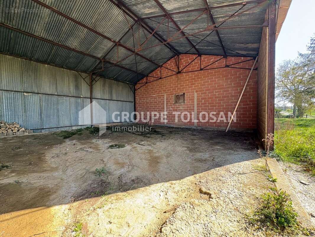 Entre Caraman et Lanta - Hangar de 100m2 sur 1400m2 de terrain - photo 3