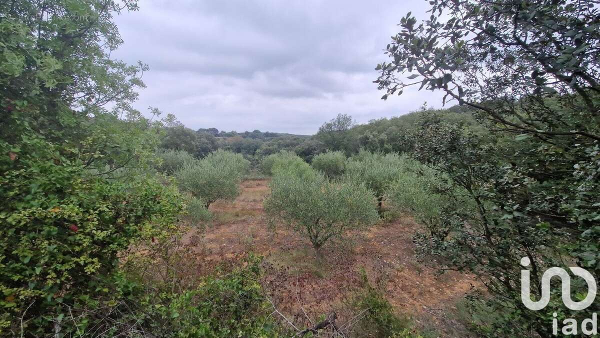 Photo 3 - Terrain à LEDENON