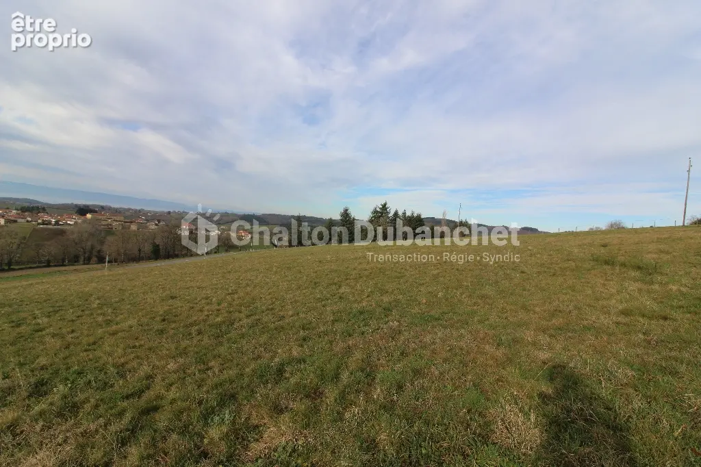 Terrain 1 240 m² à vendre à Montchal (42360) - photo 2