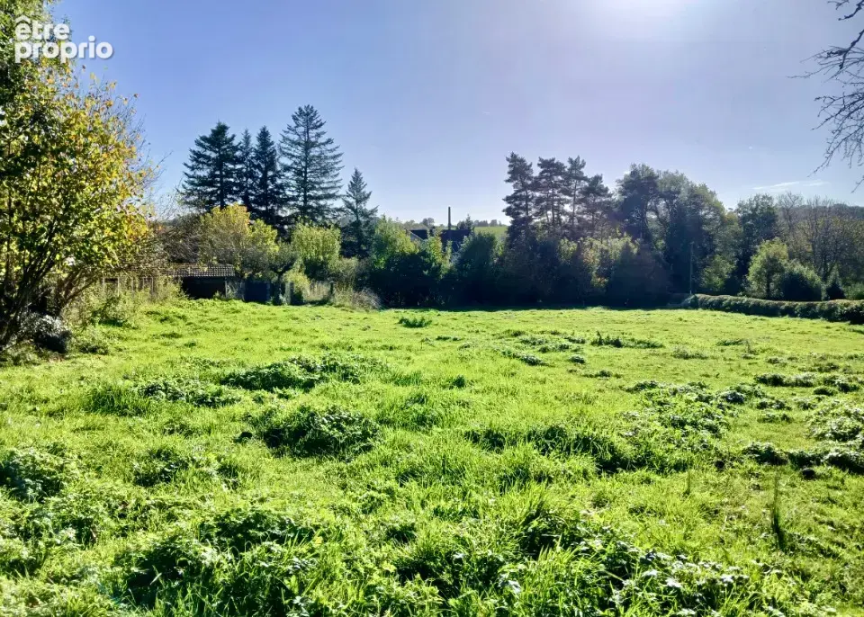 Terrain 1000 m² à Sansac-De-Marmiesse  - photo 3