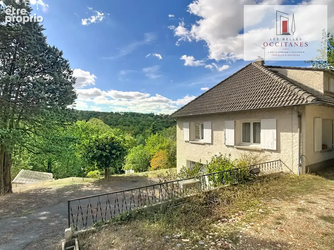 Graulhet   spacieuse maison familiale avec piscine sur plus de 4 000 m2 de terrain ! - photo 19