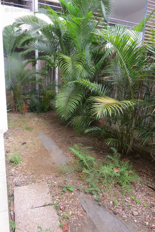 Appartement à SAINT-DENIS