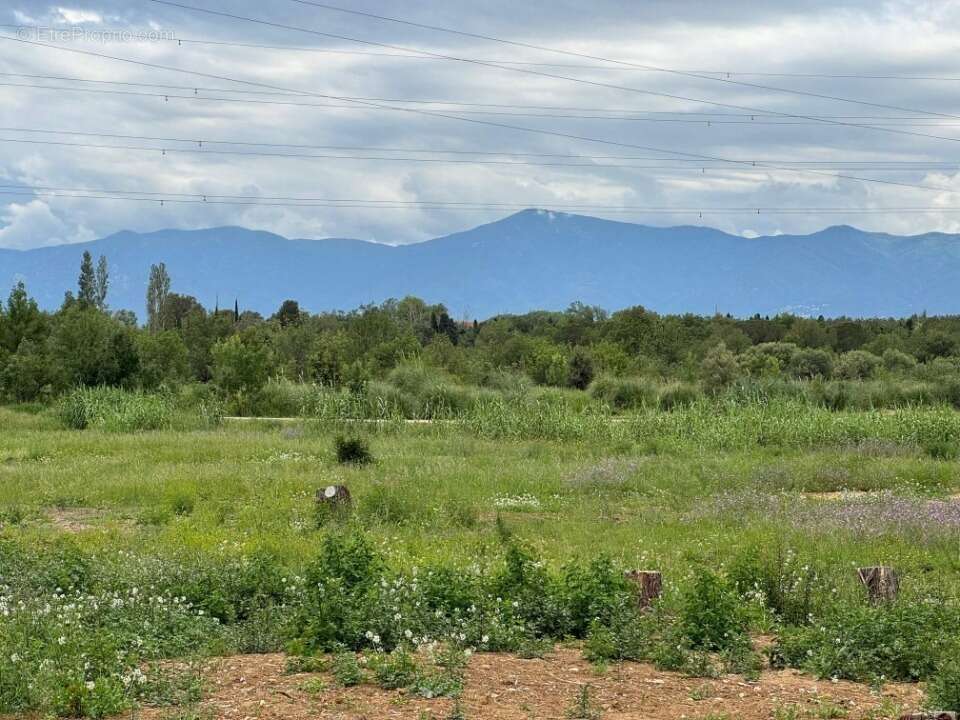 Terrain à PERPIGNAN