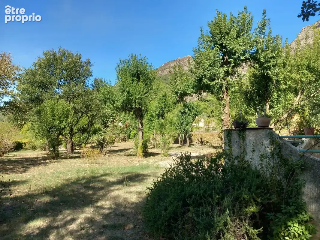 Superbe villa plain pied avec piscine sur 4000M2 arborés. - photo 9