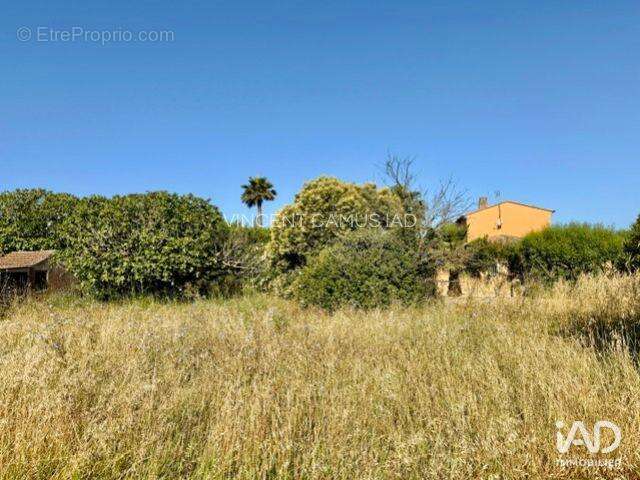 Terrain 452 m² à Six-Fours-Les-Plages  - photo 4
