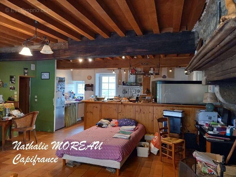 Fermette a vendre sur la commune de DIANCEY - Idéal gite, chambre d'hôtes, maison familiale - photo 3