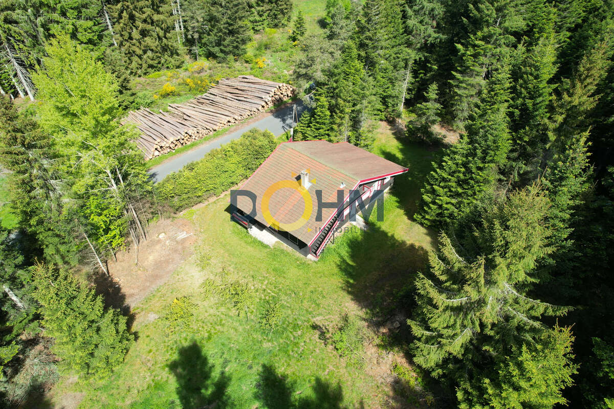Chalet sur 7819 m2 de terrain + possibilite 15130 m2 en plus  . 155 m2 habitables - photo 16