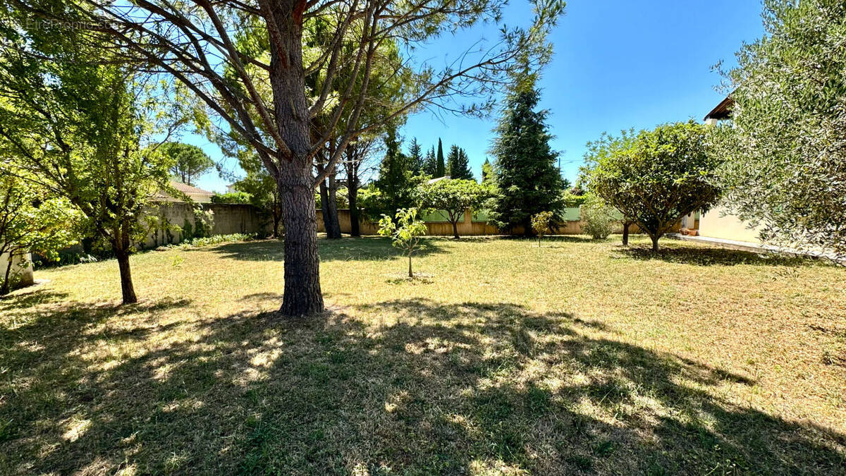Terrain à ENTRAIGUES-SUR-LA-SORGUE
