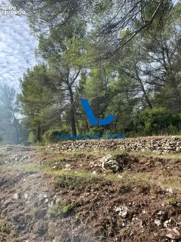 Terrain en zone naturelle Solliès-Toucas 30000 m² - photo 9