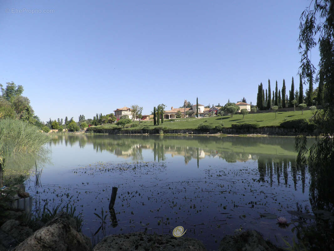 Propriété d'exception dans un environnement calme avec vue ! - photo 3