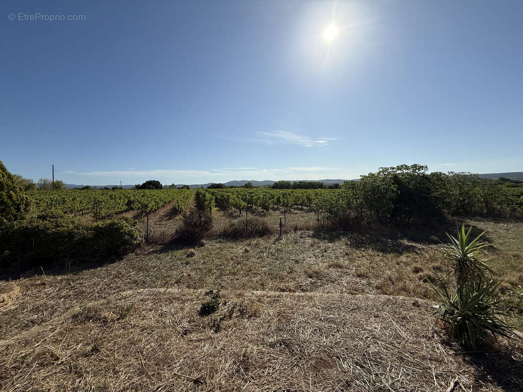 Maison à SAINT-ANDRE-DE-SANGONIS