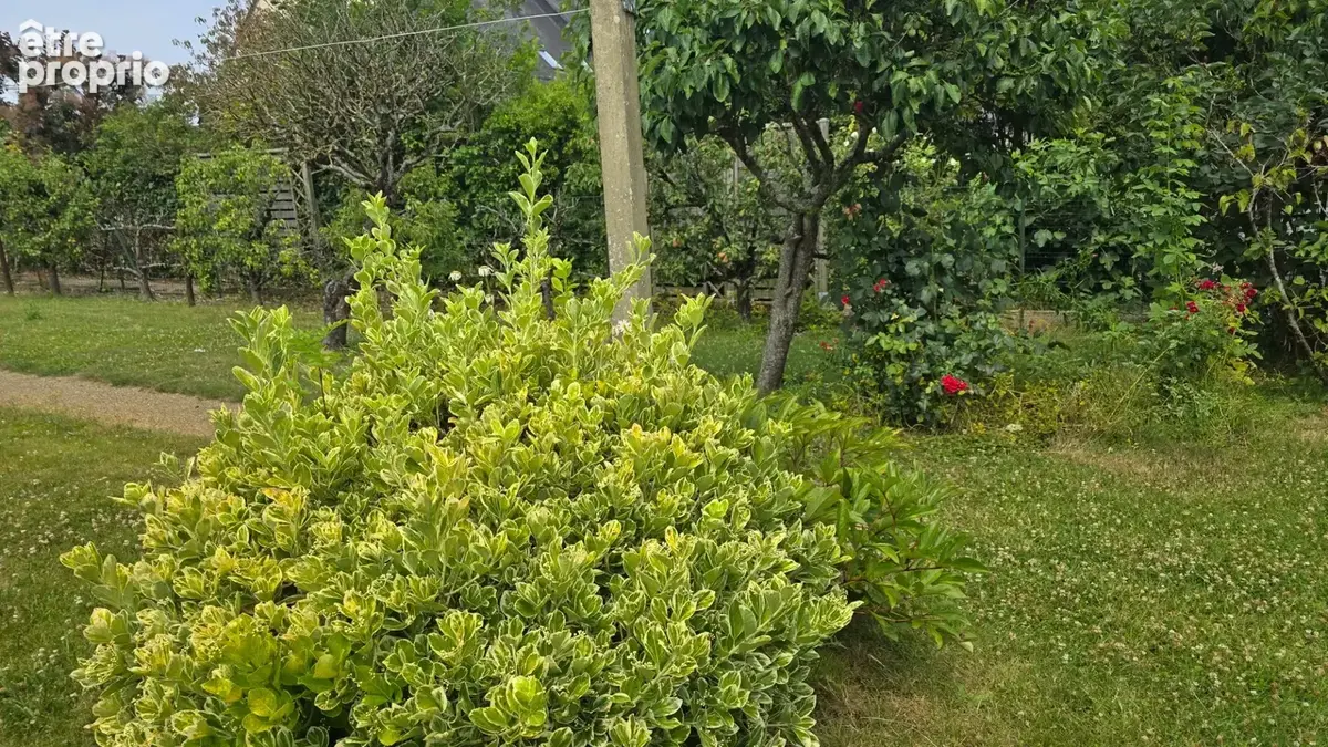 Maison à vendre 8 pièces - dépendance - sous-sol - greniers à RENNES EST- CESSON SEVIGNE (35) - photo 5