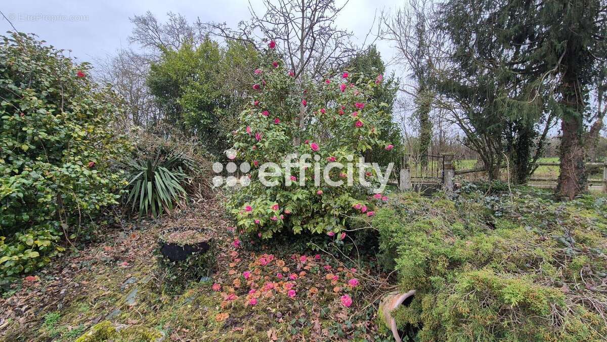 Maison 207 m² à Mandeville-En-Bessin  - photo 26