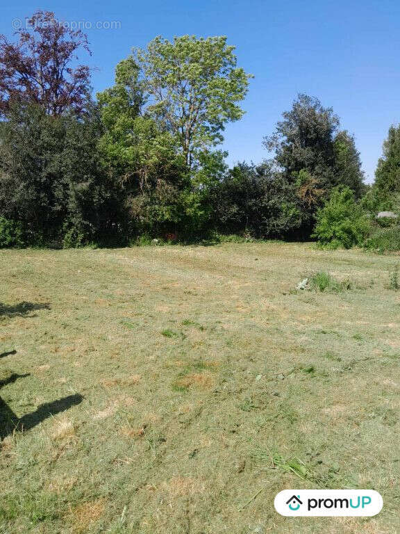 Terrain à MONTEROLIER