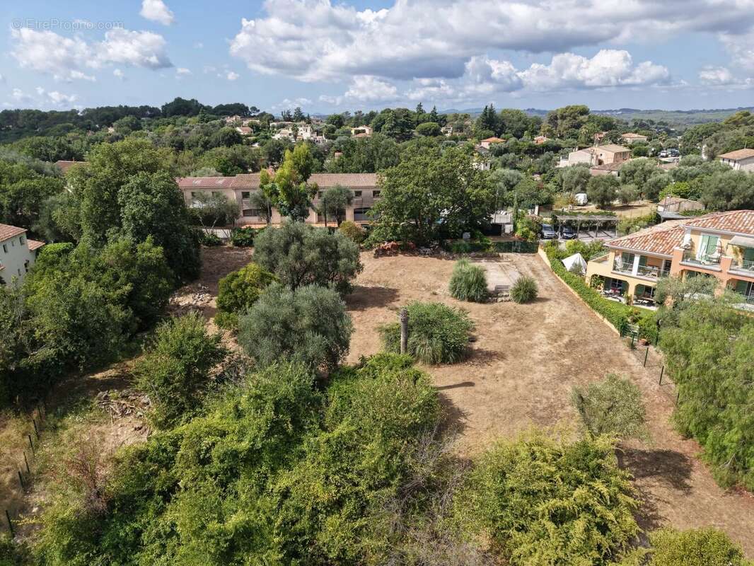Roquefort Les Pins - Terrain plat constructible de 2513 m2 - photo 4