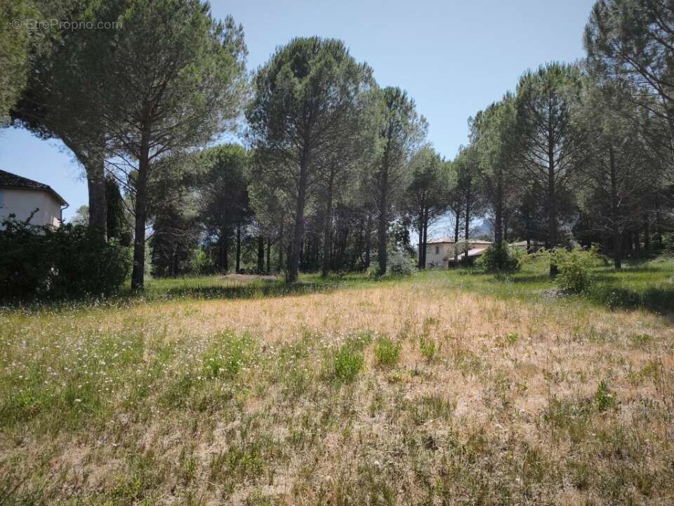 Terrain à ROQUEBRUNE-SUR-ARGENS