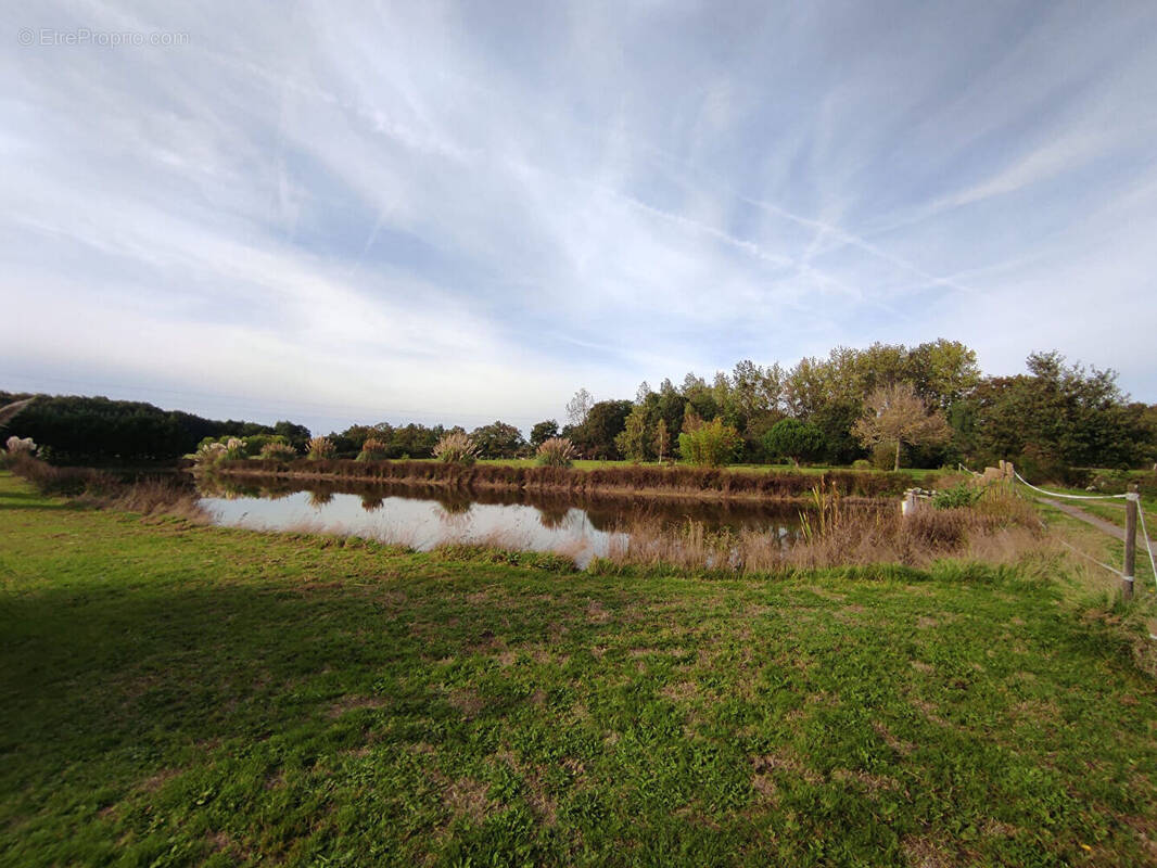 Terrain à SAINT-GEORGES-DE-POINTINDOUX