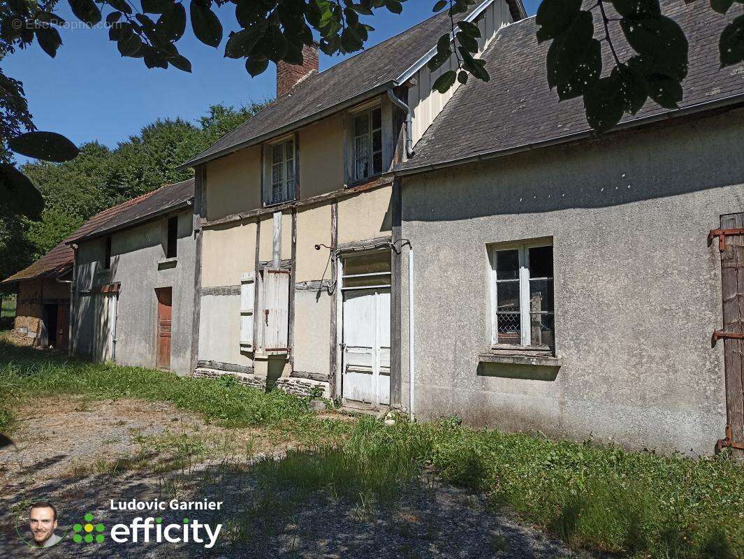 Maison 290 m² à Isigny-Le-Buat  - photo 19