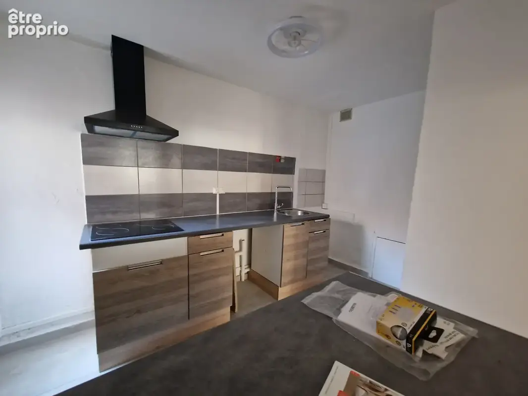 Immeuble avec T2 et deux T3 - photo 2